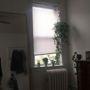 Meet your Posher, Kevin